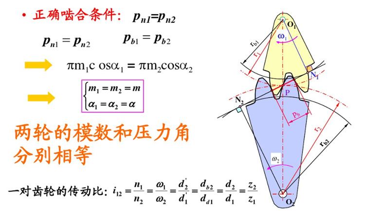 齒輪正確嚙合的條件
