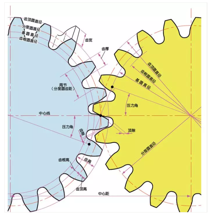 齒輪各部位的名稱(chēng) 